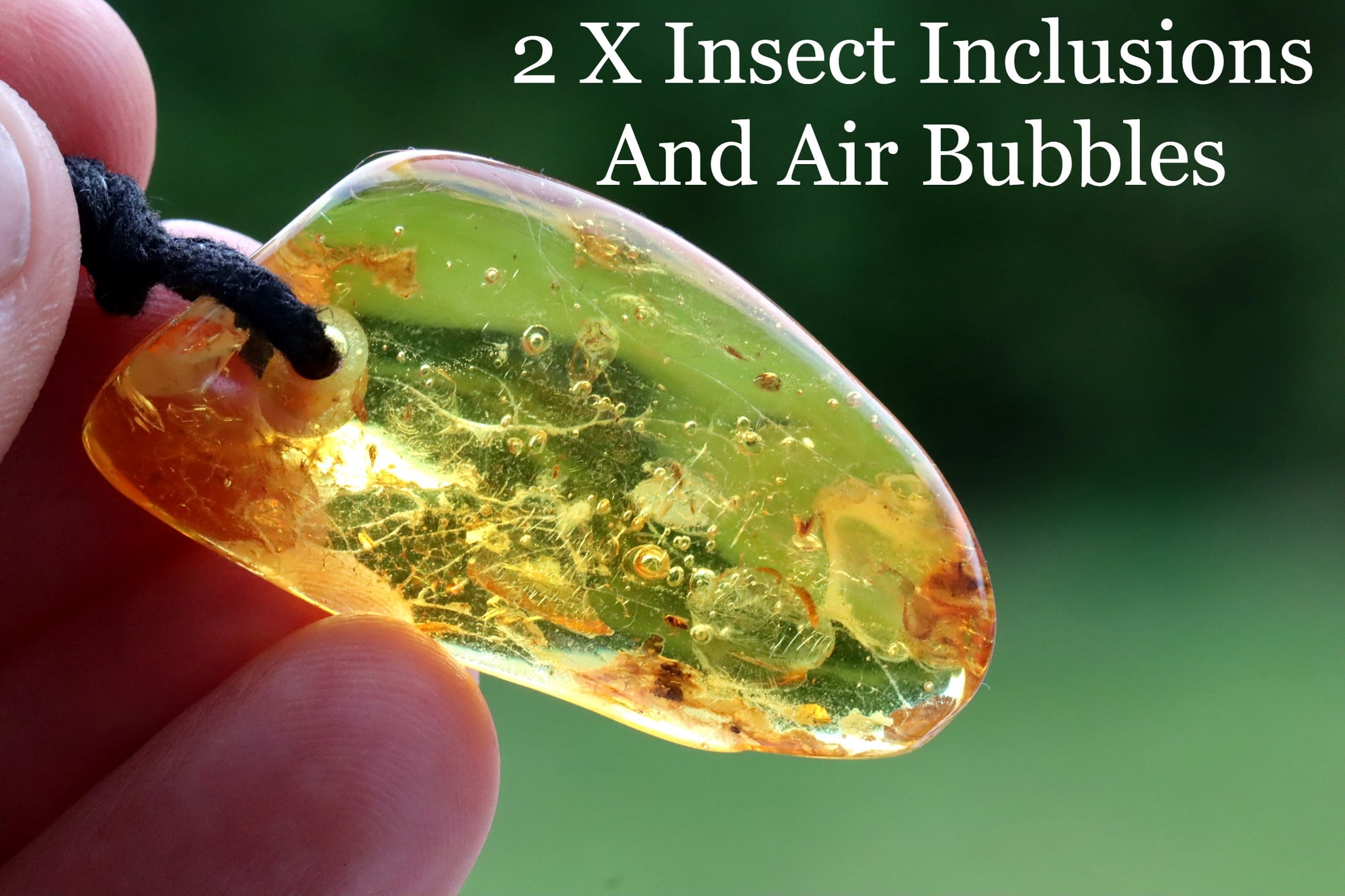 Fossil Insects Amber Amulet