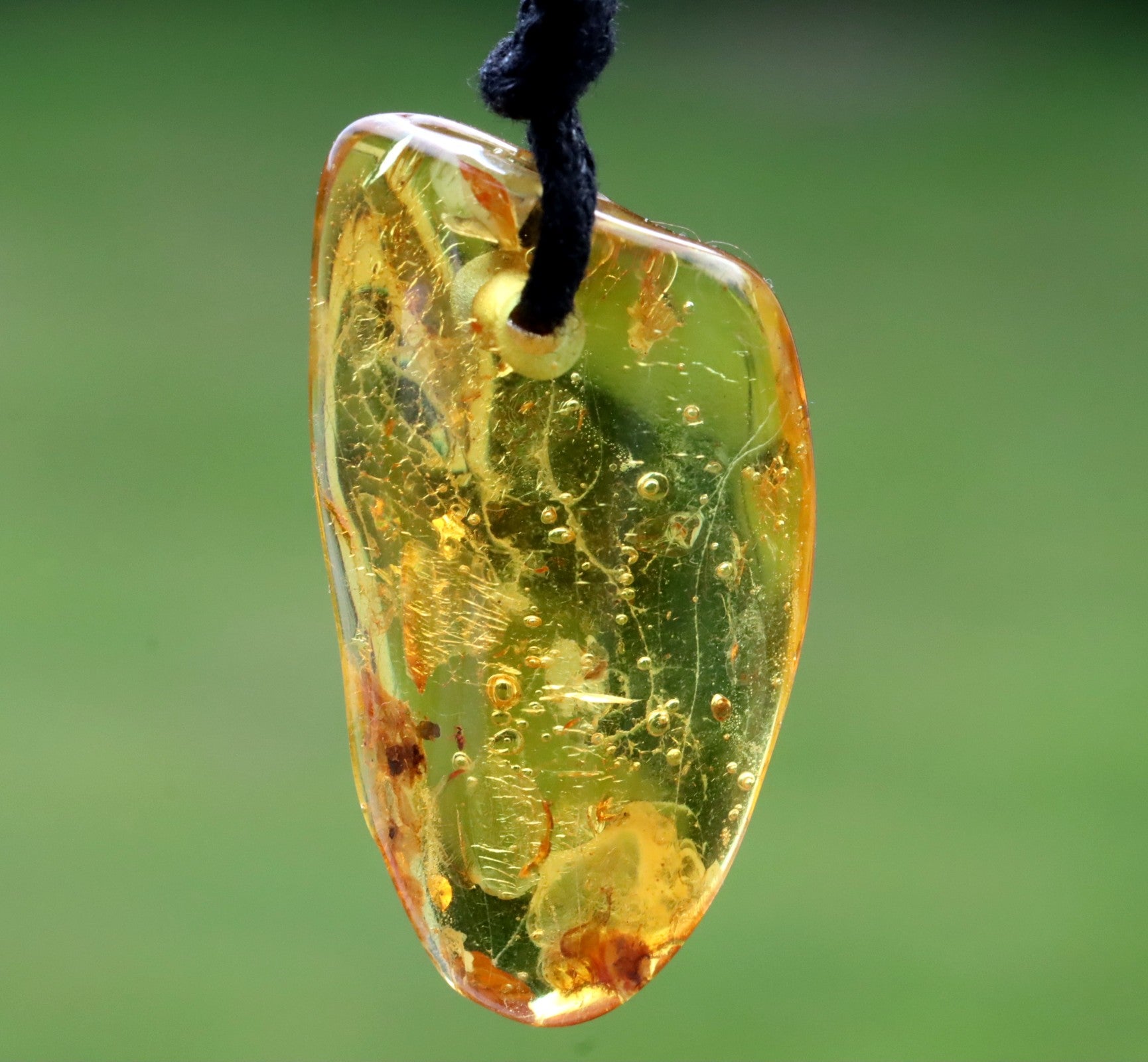 Fossil Insects Amber Amulet