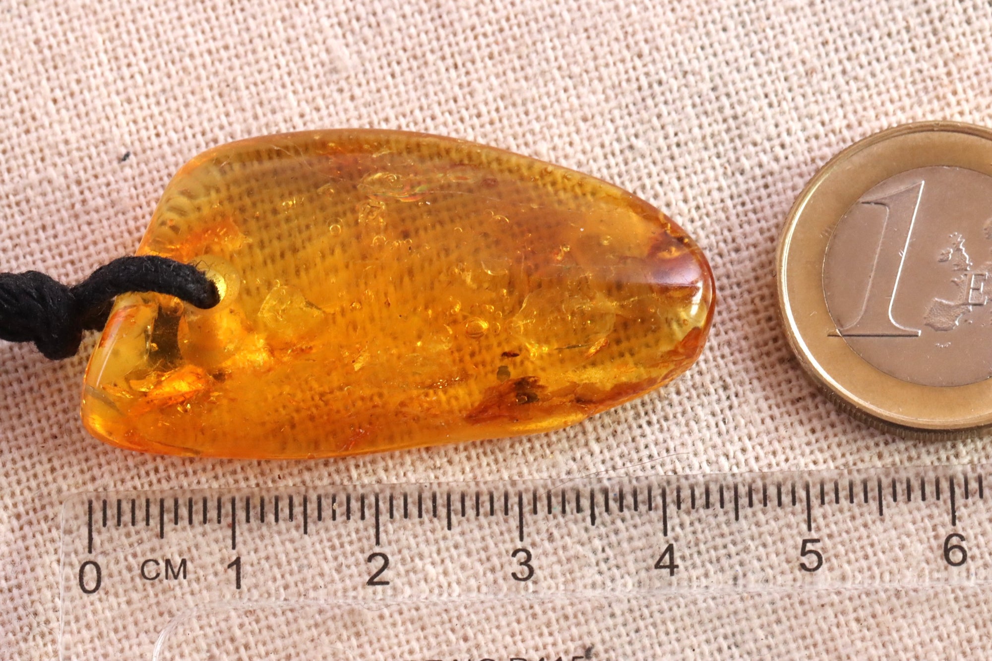 Fossil Insects Amber Amulet