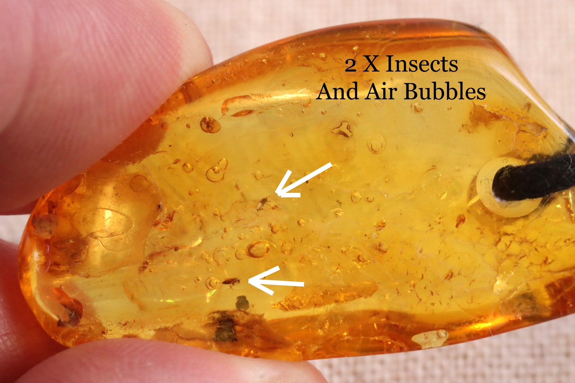 Fossil Insects Amber Amulet