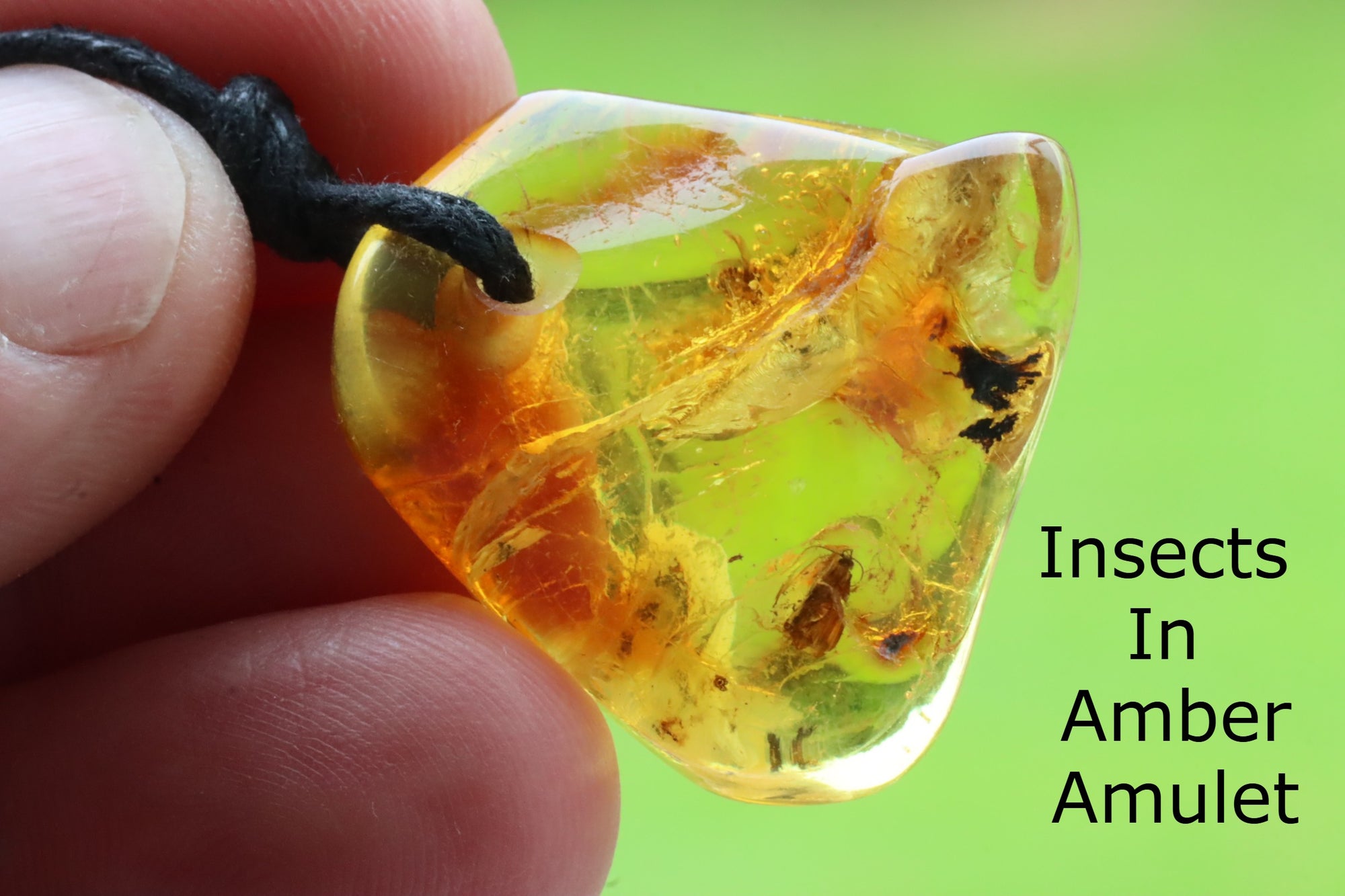 Rare Insects Inclusion Amulet