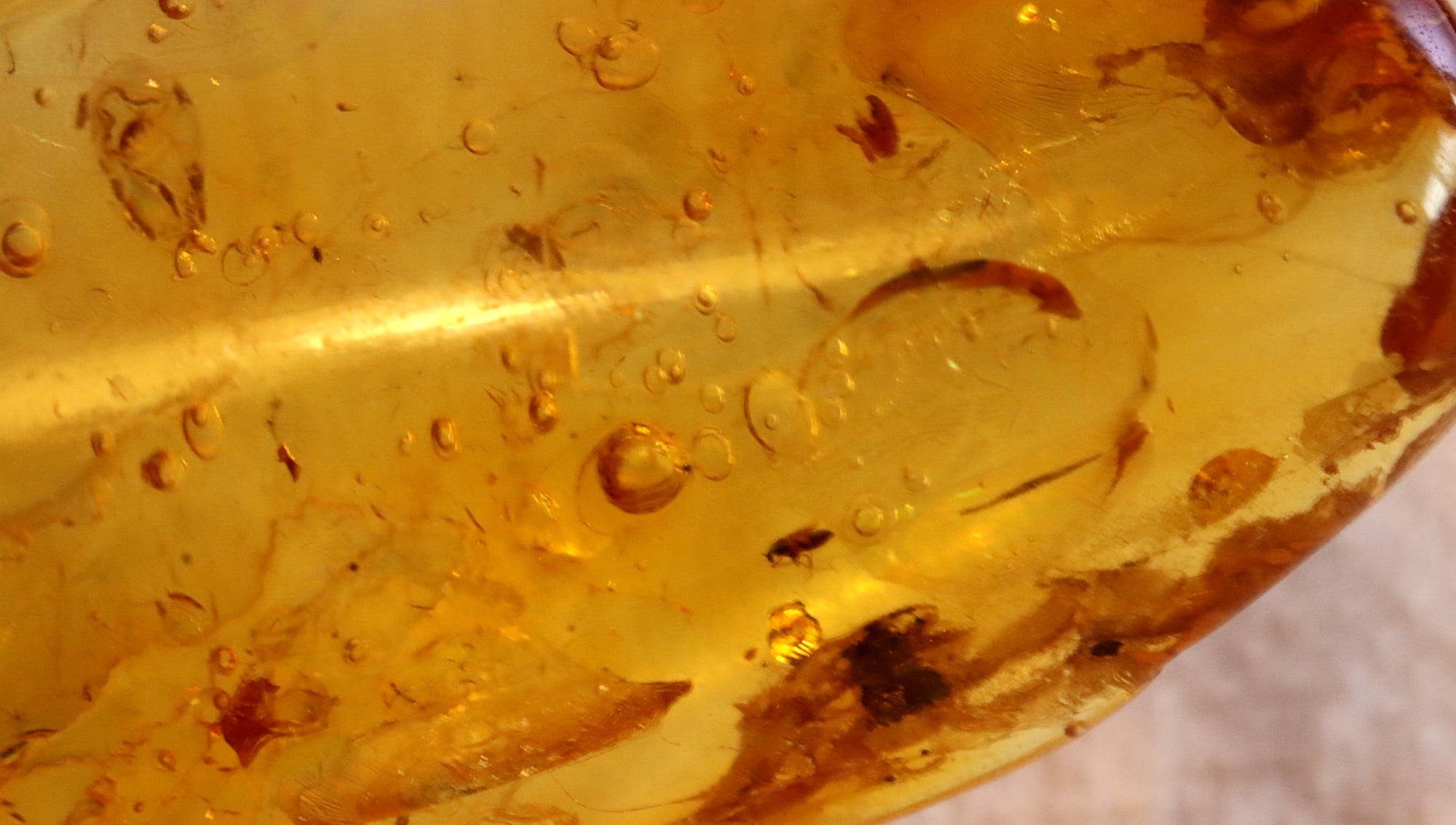 40 million year old Natural Amber Amulet With insectInclusion