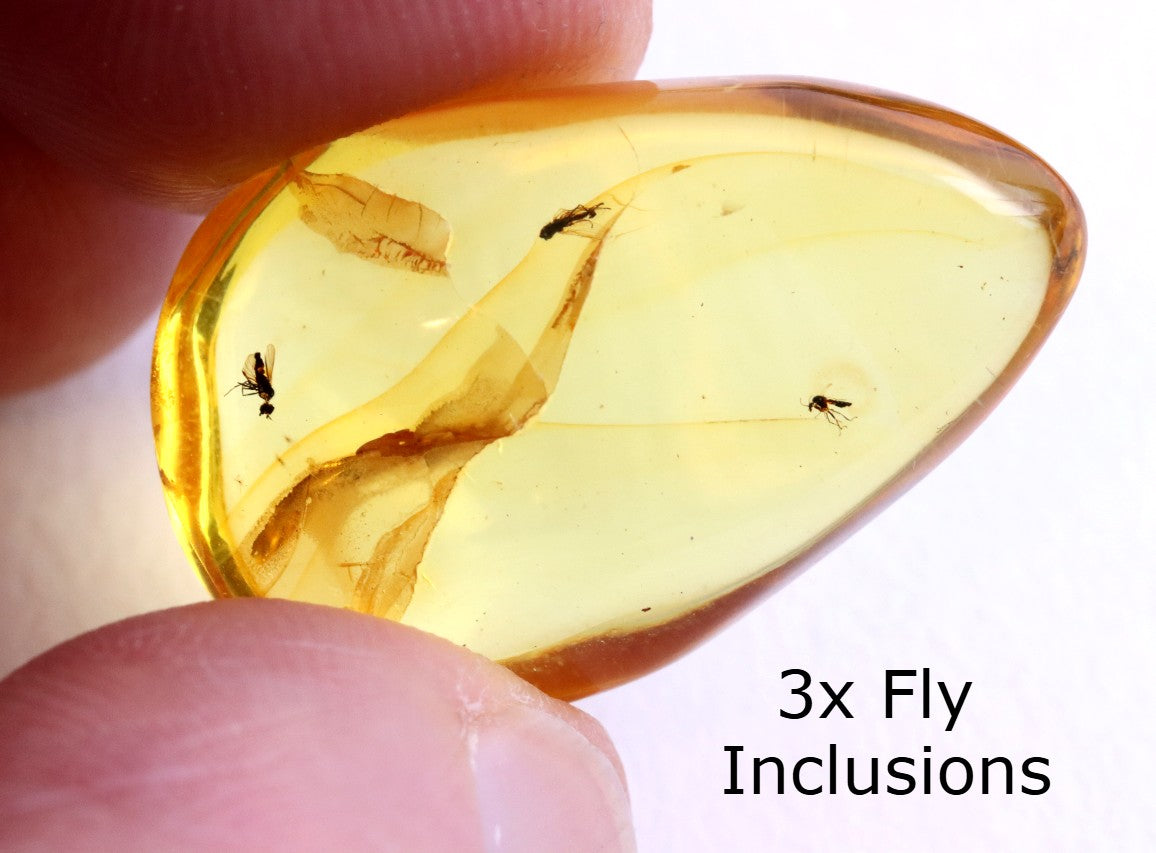 3x Fly Inclusions in Baltic Amber