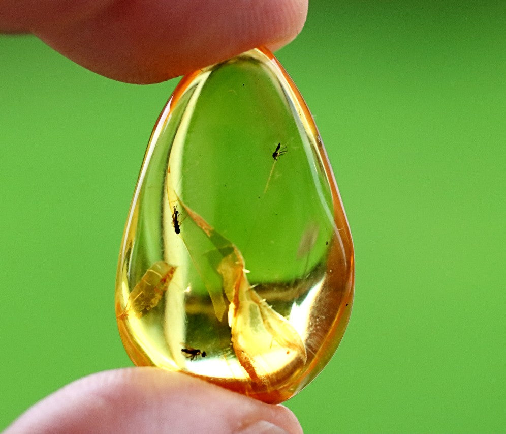 3x Fly Inclusions in Baltic Amber