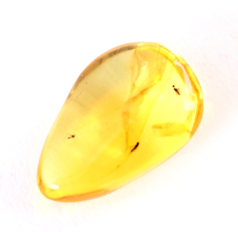 3x Fly Inclusions in Baltic Amber