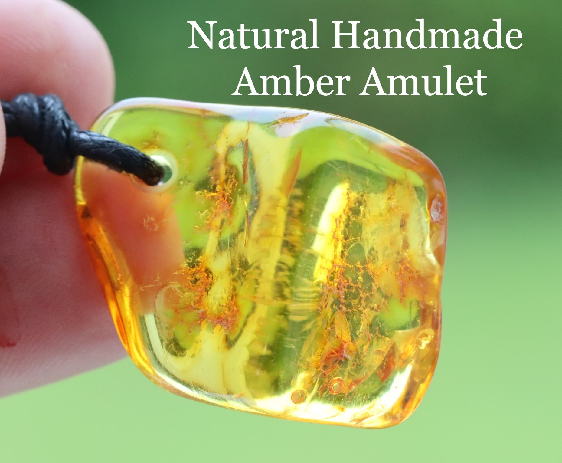 Insect In 40 million year old Baltic Amber Amulet