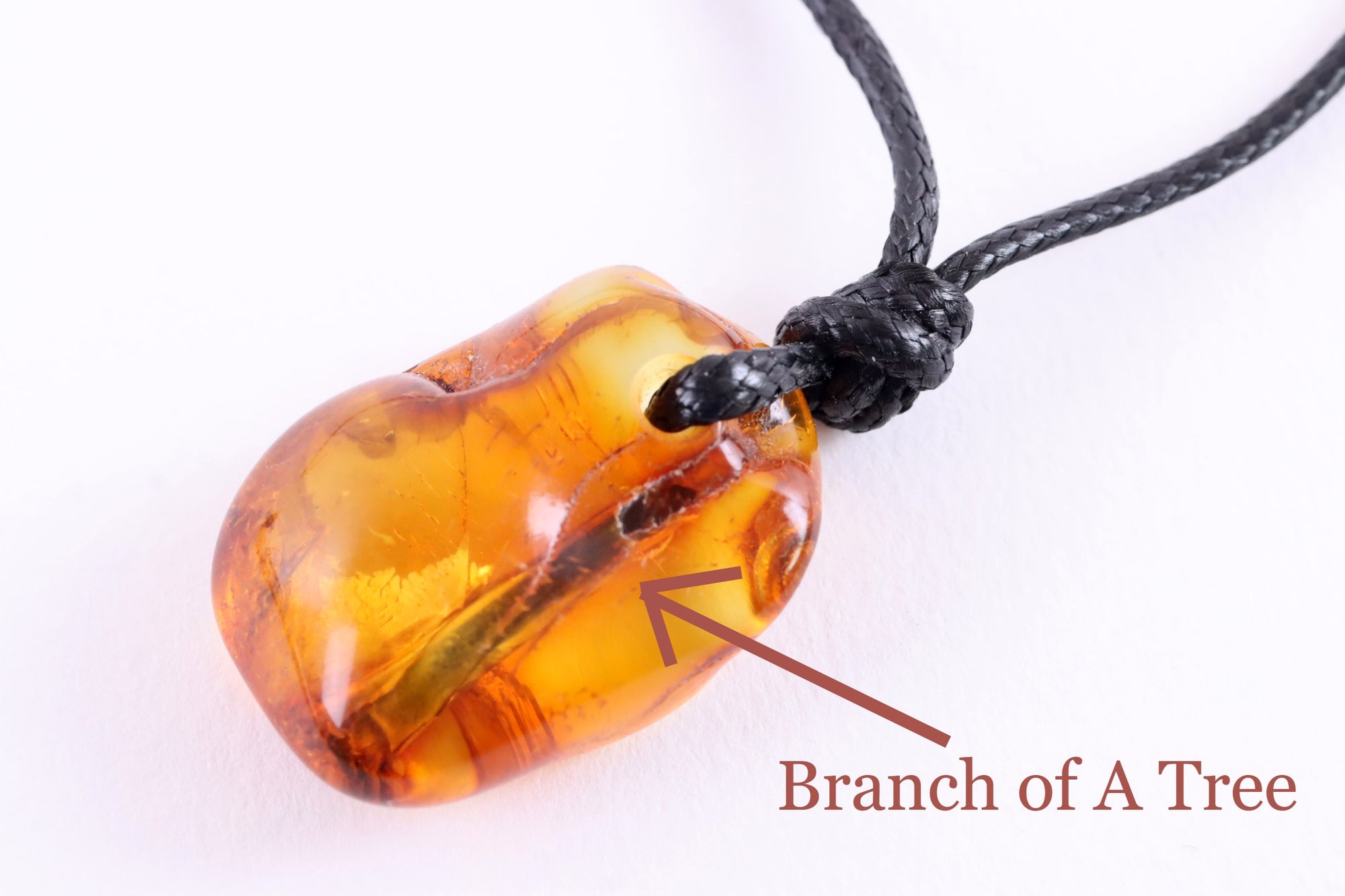 Authentic Amber Amulet With Branch