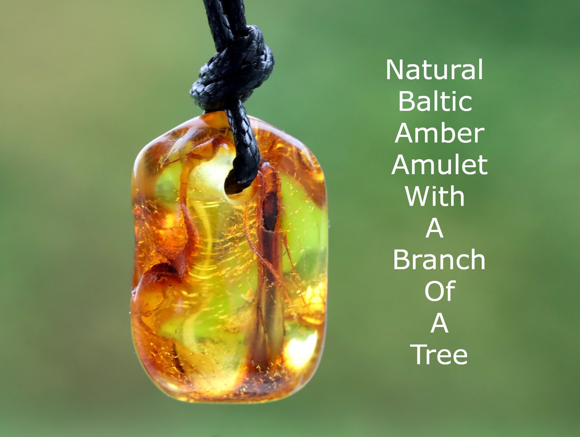 Authentic Amber Amulet With Branch