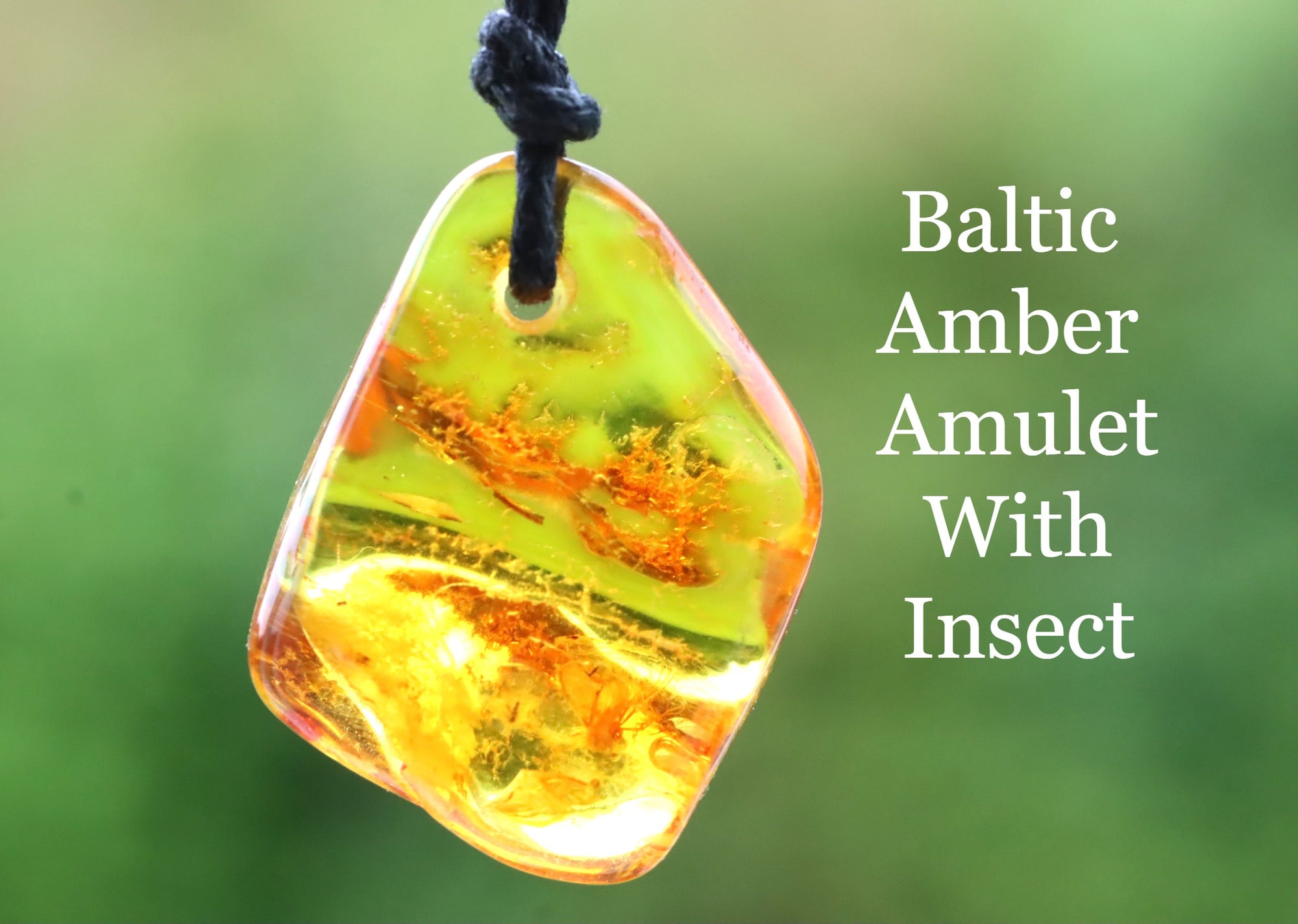 Insect In 40 million year old Baltic Amber Amulet