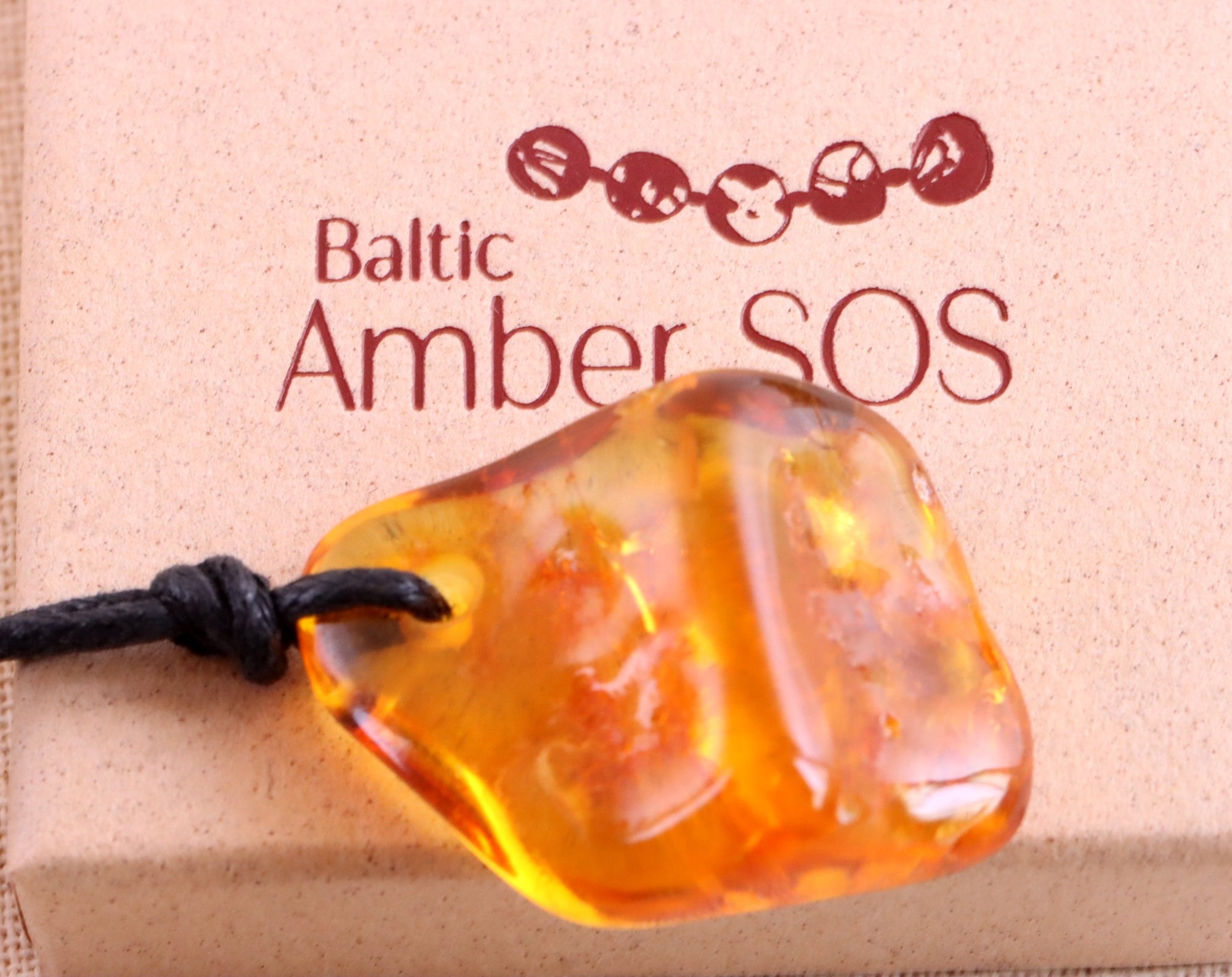 Insect In 40 million year old Baltic Amber Amulet