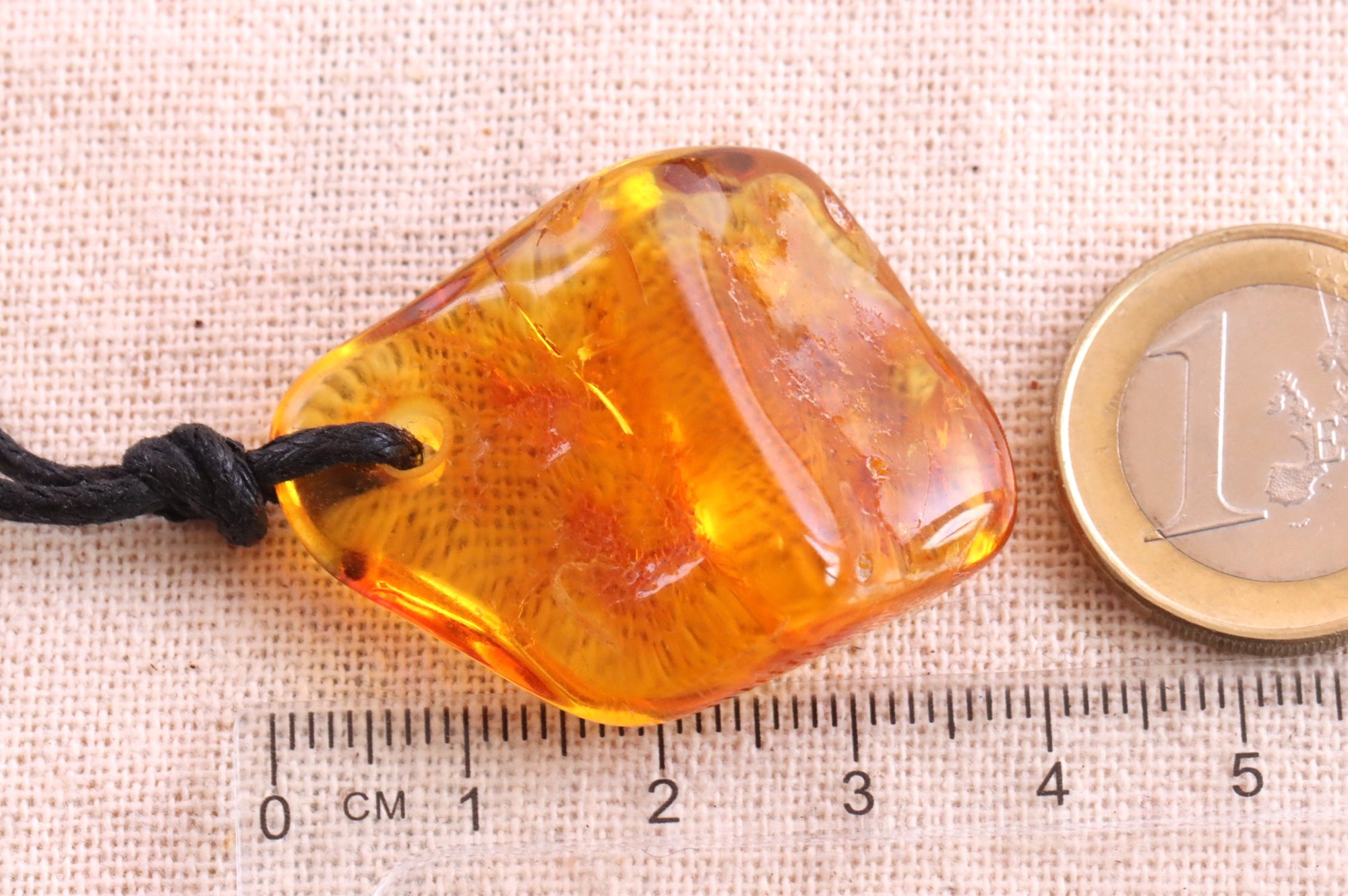 Insect In 40 million year old Baltic Amber Amulet