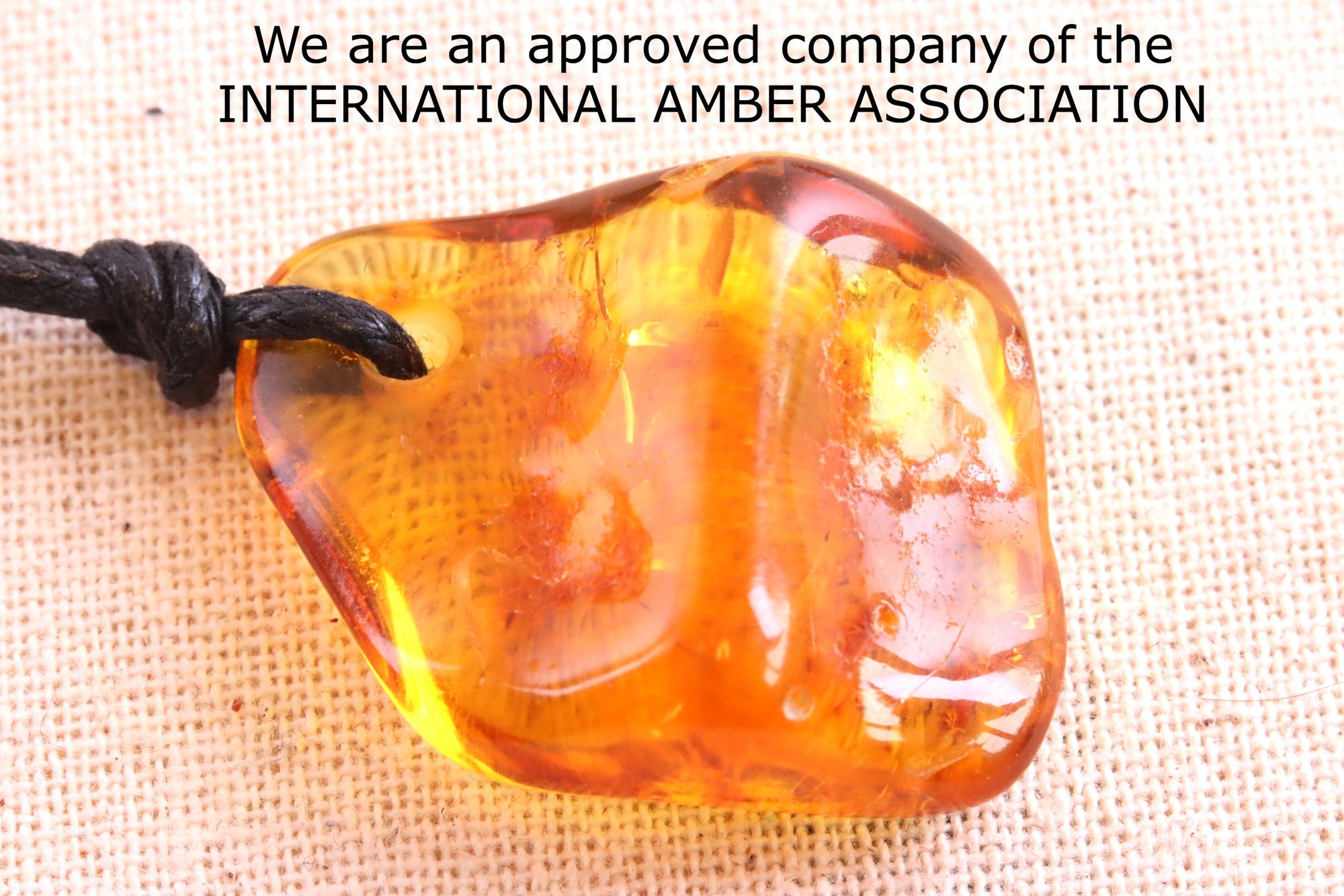 Insect In 40 million year old Baltic Amber Amulet