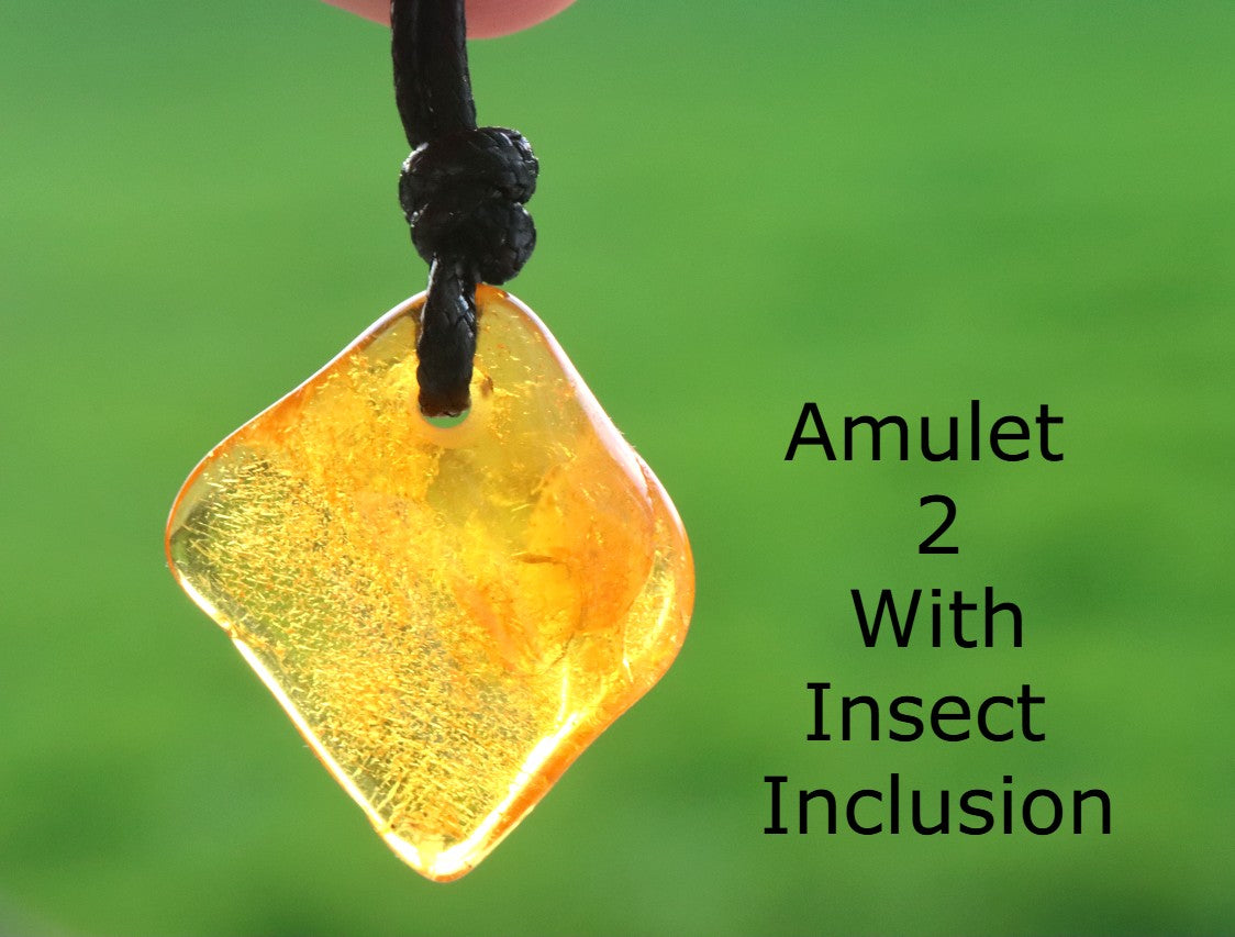Special Offer – Set of 5 Baltic Amber Amulets with Insects