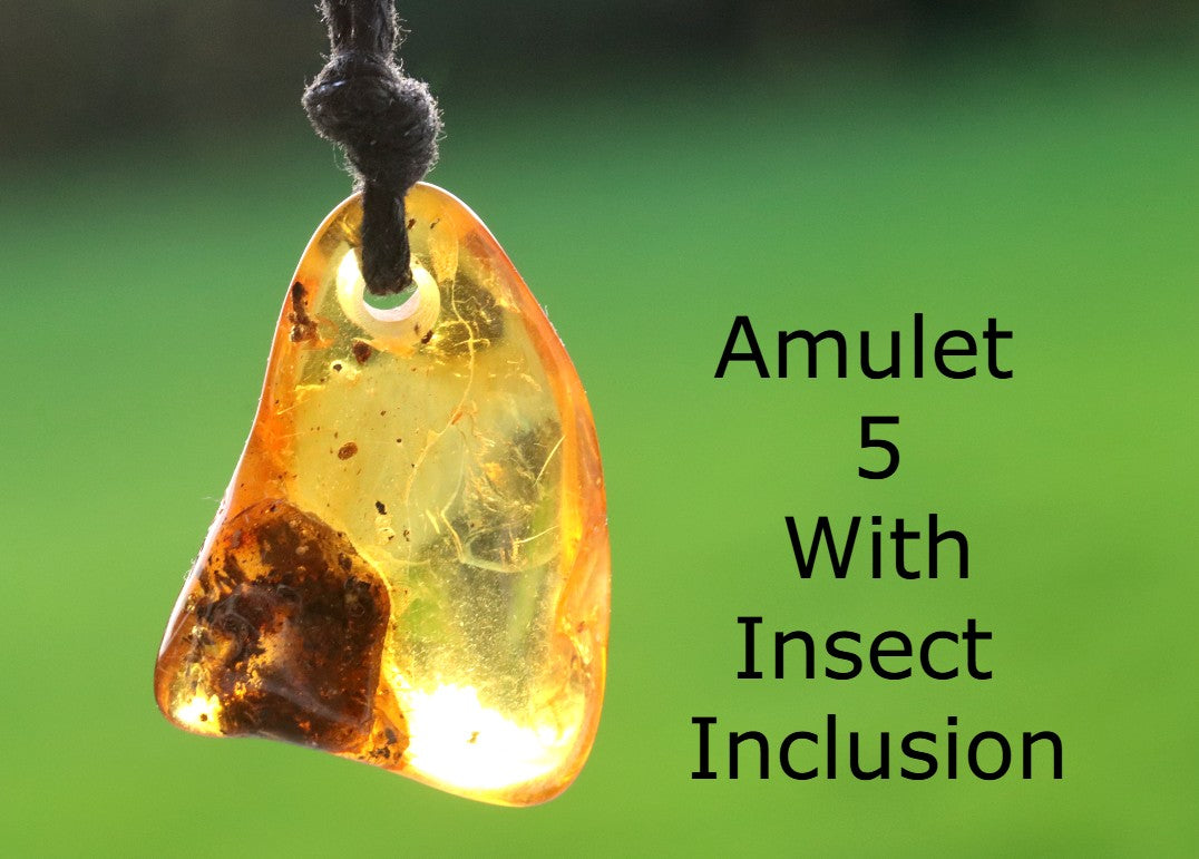 Special Offer – Set of 5 Baltic Amber Amulets with Insects