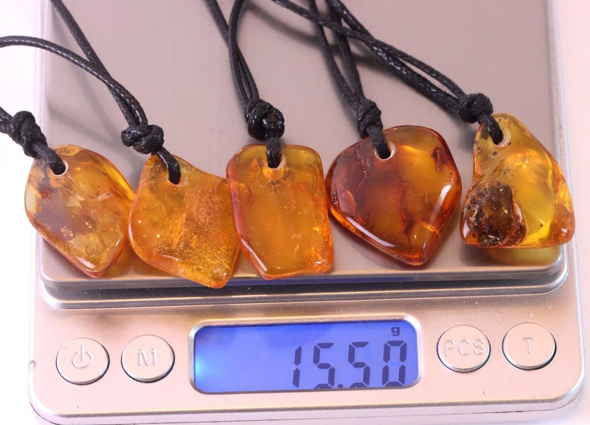 Special Offer – Set of 5 Baltic Amber Amulets with Insects