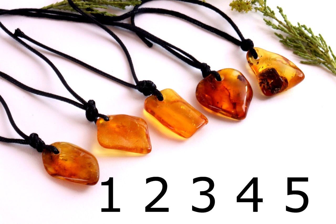 Special Offer – Set of 5 Baltic Amber Amulets with Insects