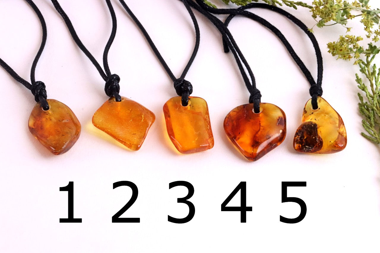 Special Offer – Set of 5 Baltic Amber Amulets with Insects