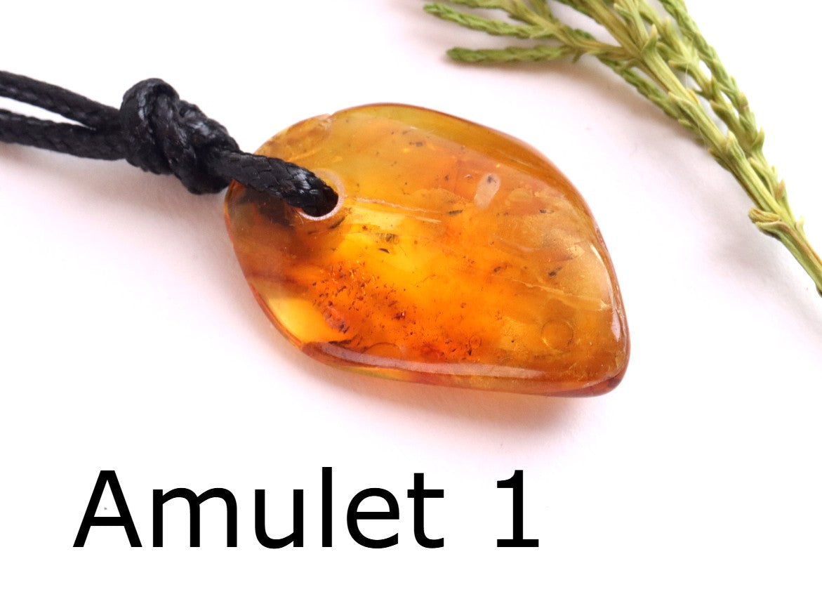 Special Offer – Set of 5 Baltic Amber Amulets with Insects