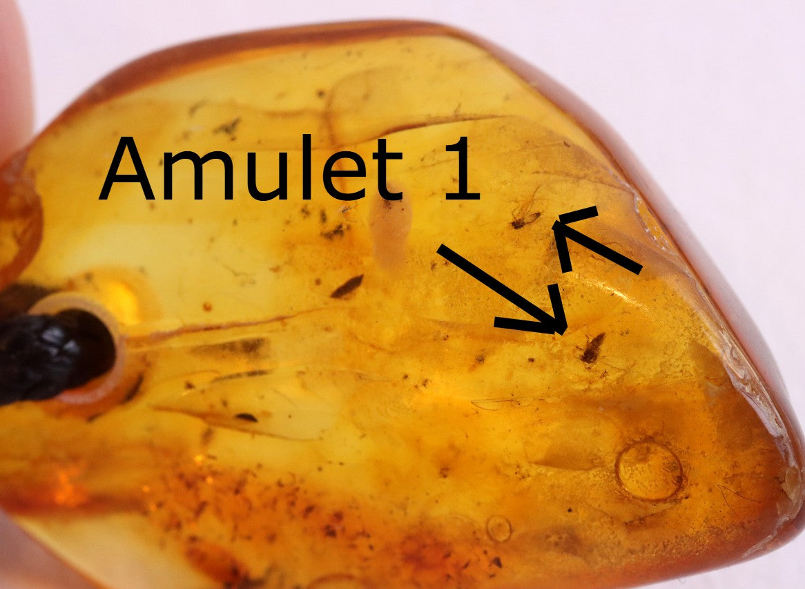 Special Offer – Set of 5 Baltic Amber Amulets with Insects