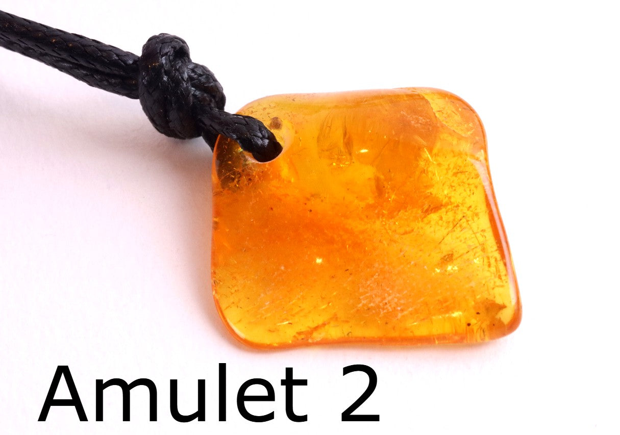 Special Offer – Set of 5 Baltic Amber Amulets with Insects