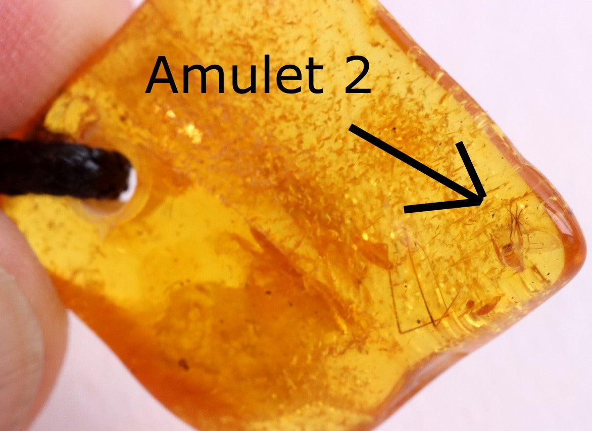 Special Offer – Set of 5 Baltic Amber Amulets with Insects