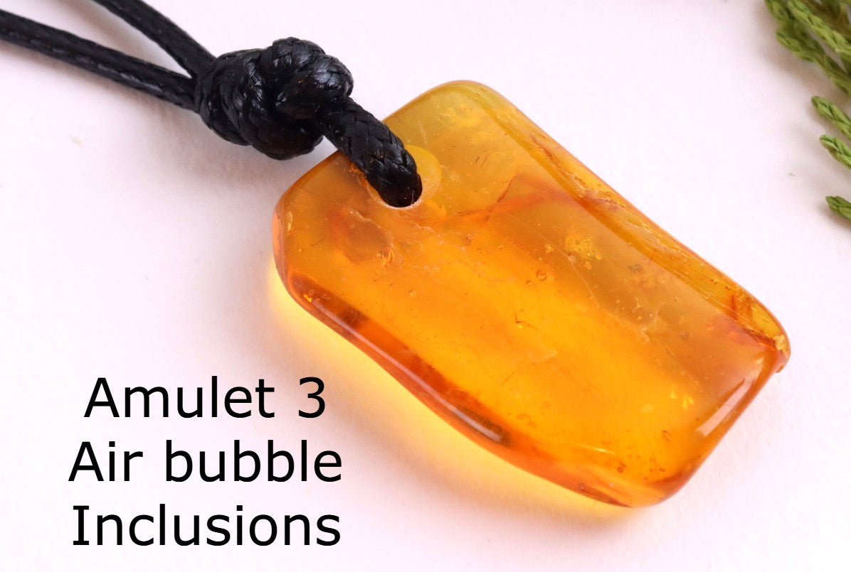 Special Offer – Set of 5 Baltic Amber Amulets with Insects