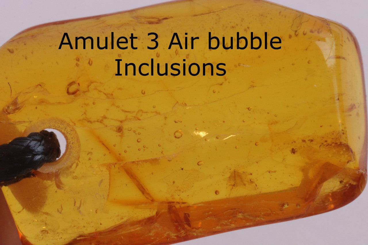 Special Offer – Set of 5 Baltic Amber Amulets with Insects