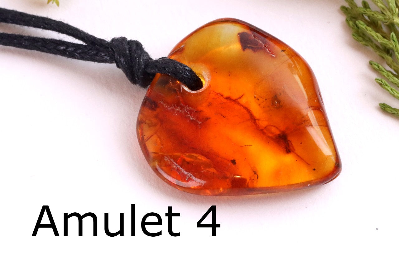 Special Offer – Set of 5 Baltic Amber Amulets with Insects