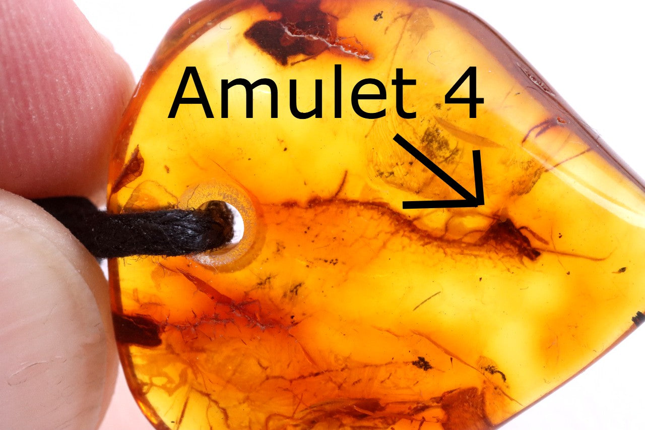 Special Offer – Set of 5 Baltic Amber Amulets with Insects
