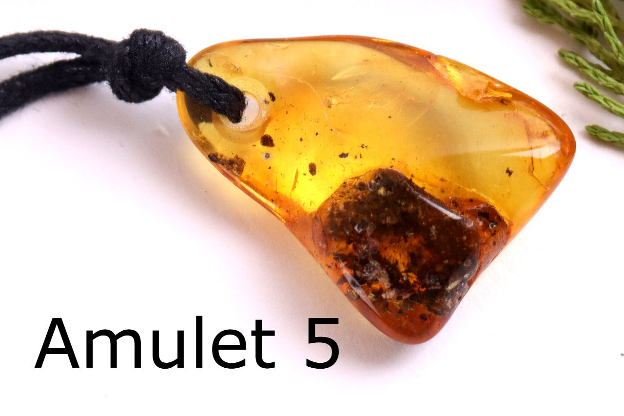 Special Offer – Set of 5 Baltic Amber Amulets with Insects