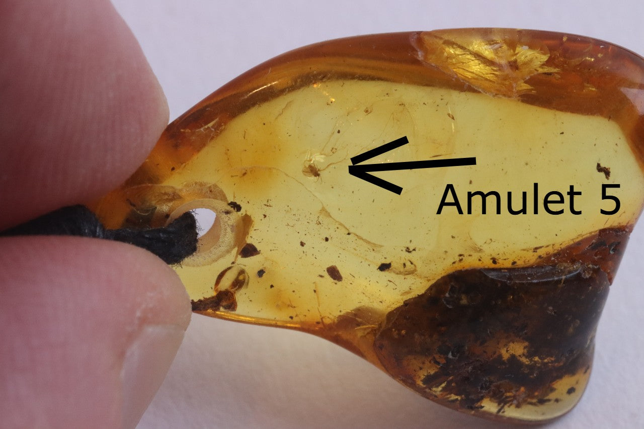 Special Offer – Set of 5 Baltic Amber Amulets with Insects