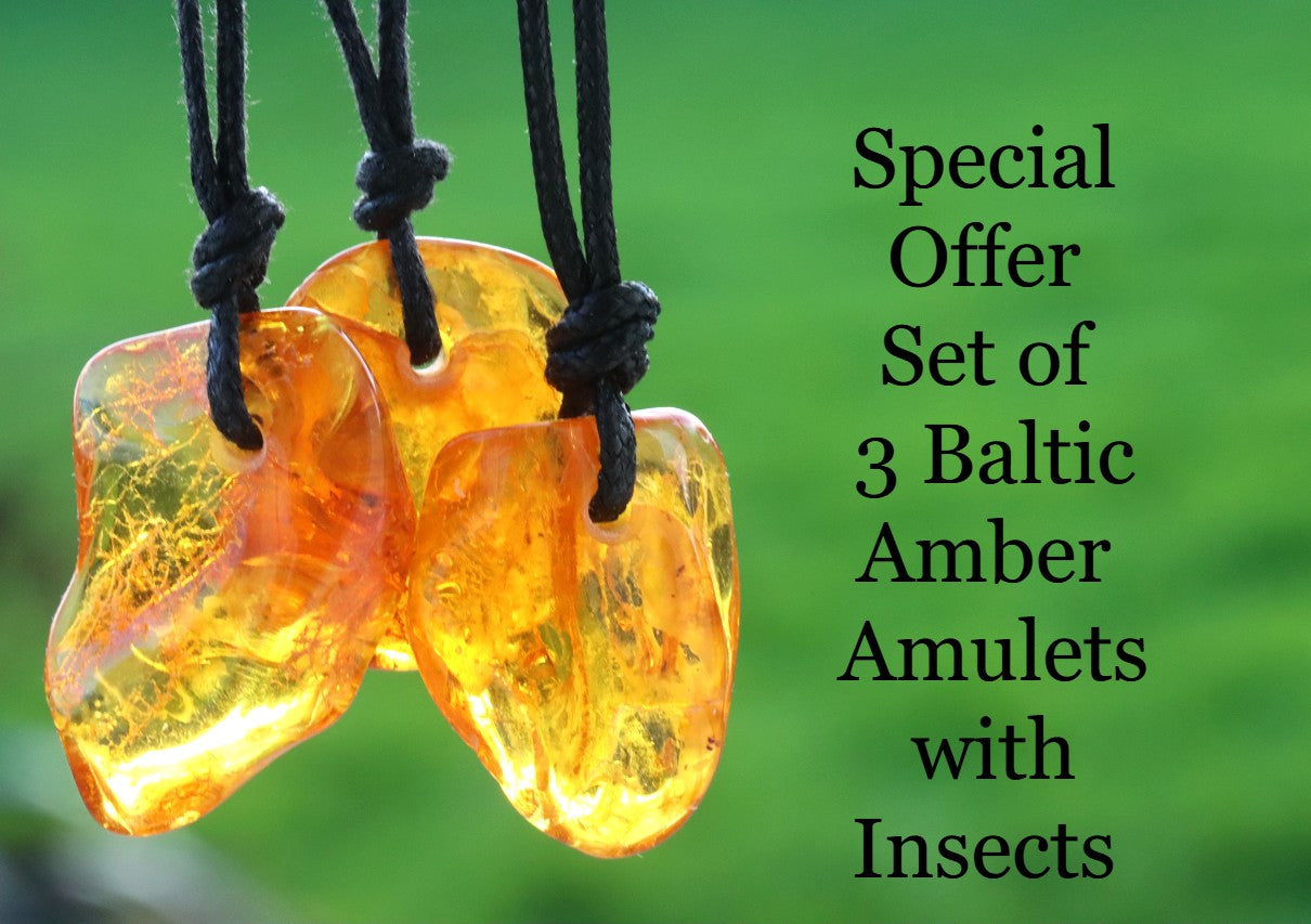 Special Offer – Set of 3 Baltic Amber Amulets with Insects