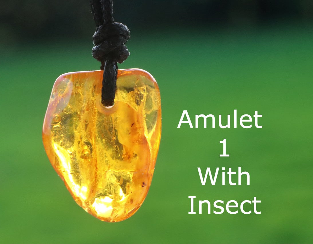 Special Offer – Set of 3 Baltic Amber Amulets with Insects