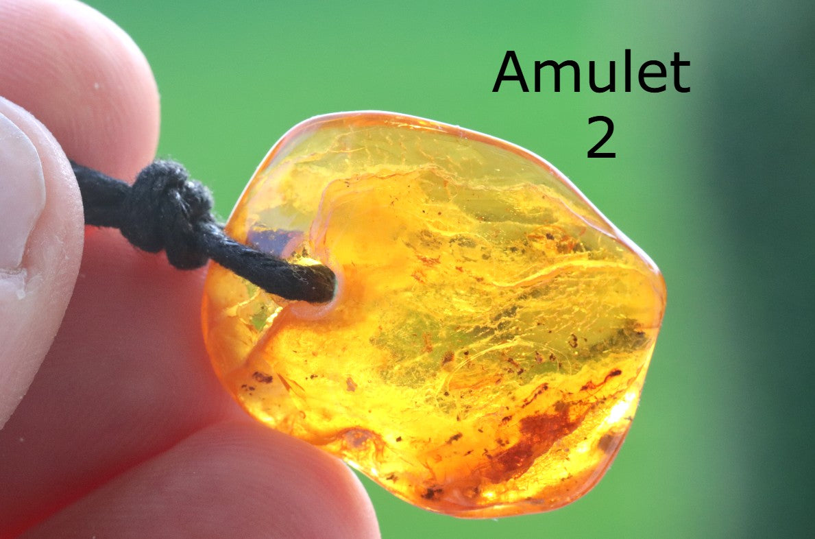 Special Offer – Set of 3 Baltic Amber Amulets with Insects