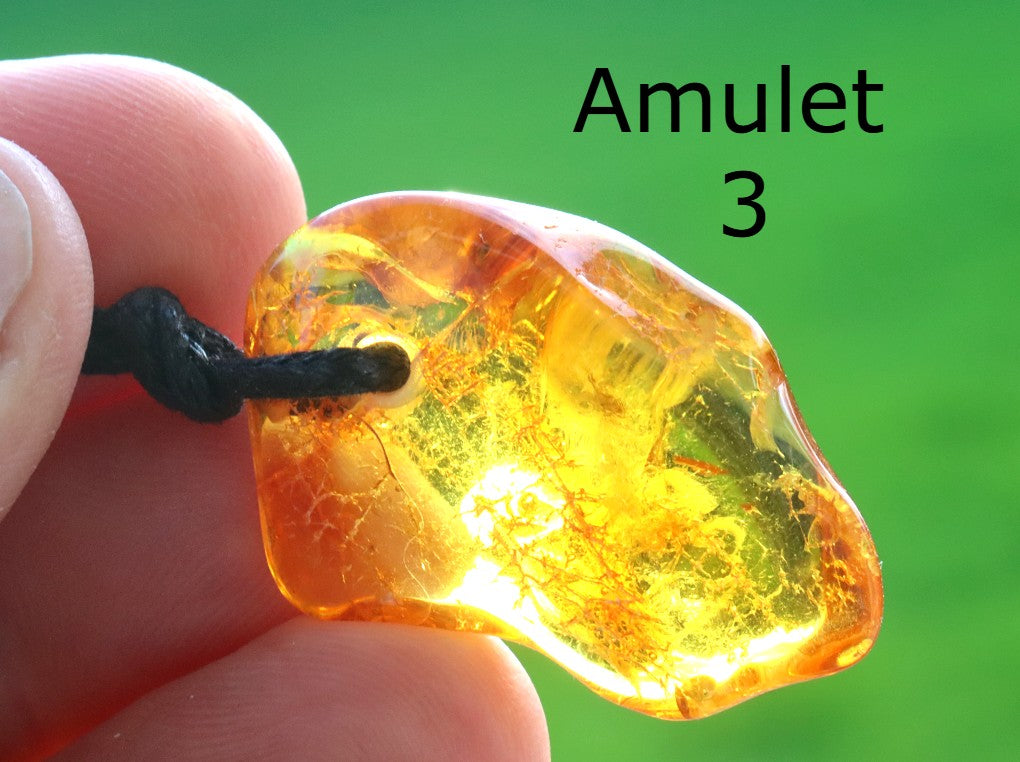Special Offer – Set of 3 Baltic Amber Amulets with Insects