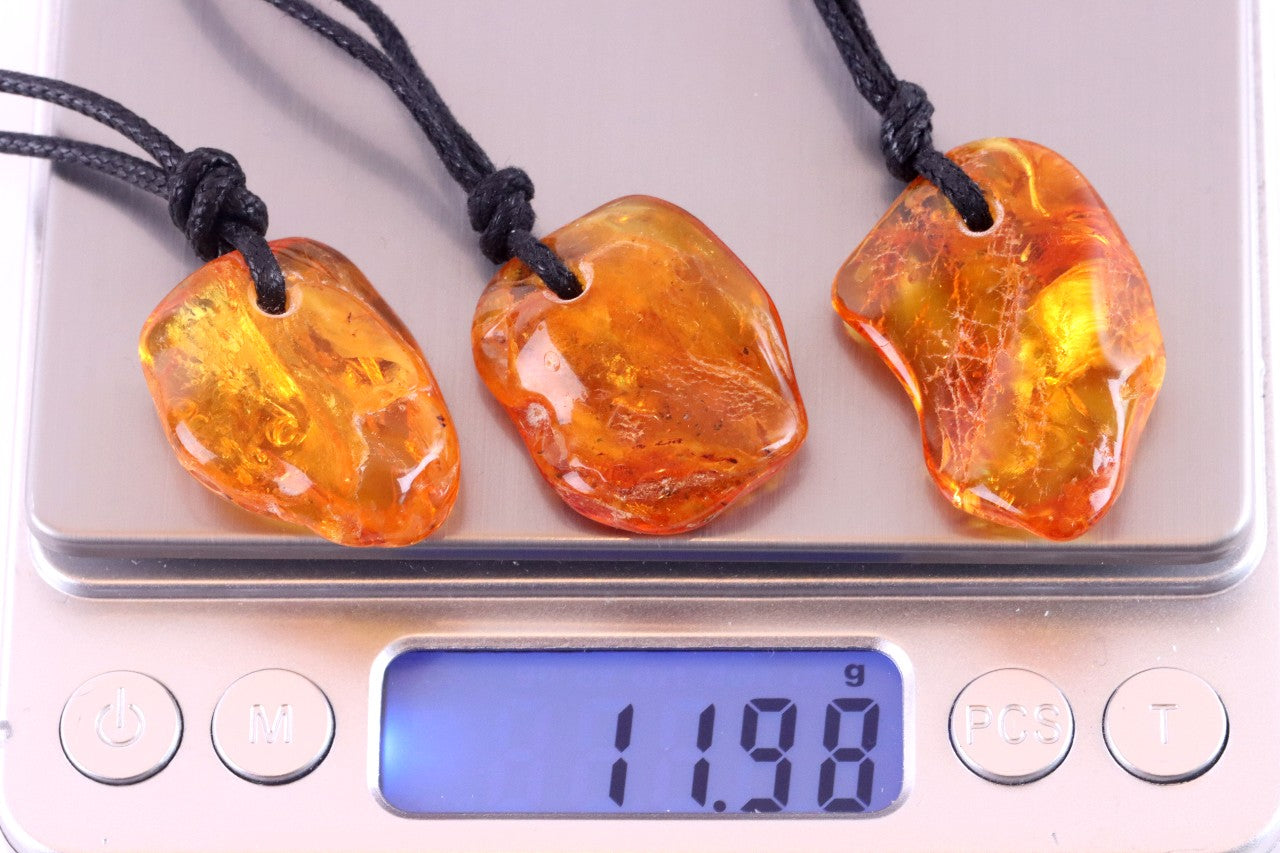 Special Offer – Set of 3 Baltic Amber Amulets with Insects