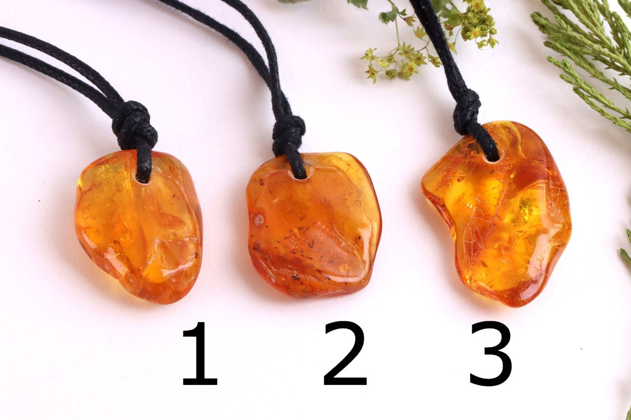 Special Offer – Set of 3 Baltic Amber Amulets with Insects
