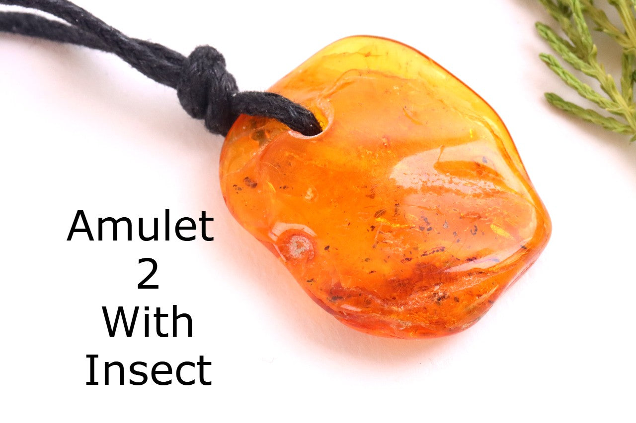 Special Offer – Set of 3 Baltic Amber Amulets with Insects