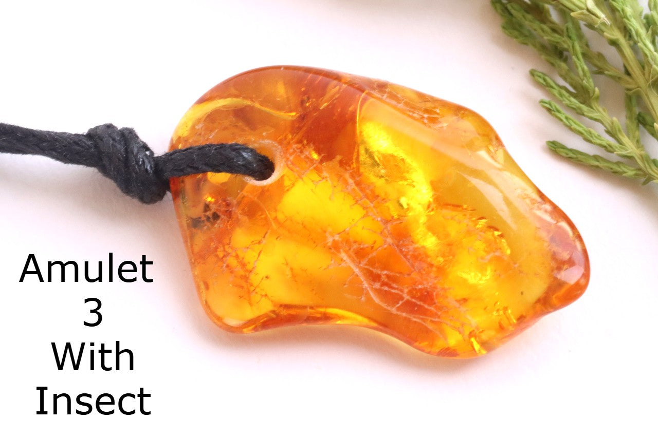 Special Offer – Set of 3 Baltic Amber Amulets with Insects
