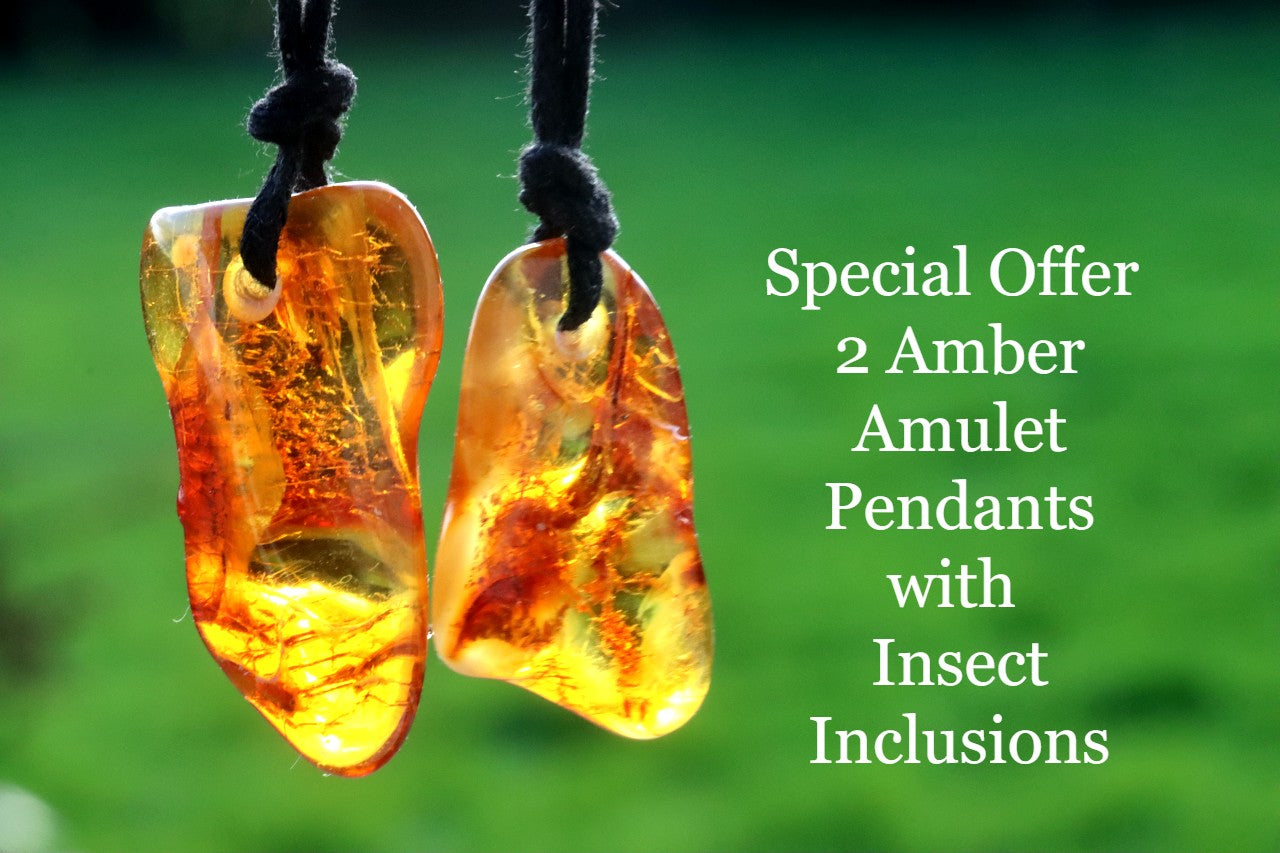 Special Offer – 2 Amber Amulet Pendants with Insect Inclusions