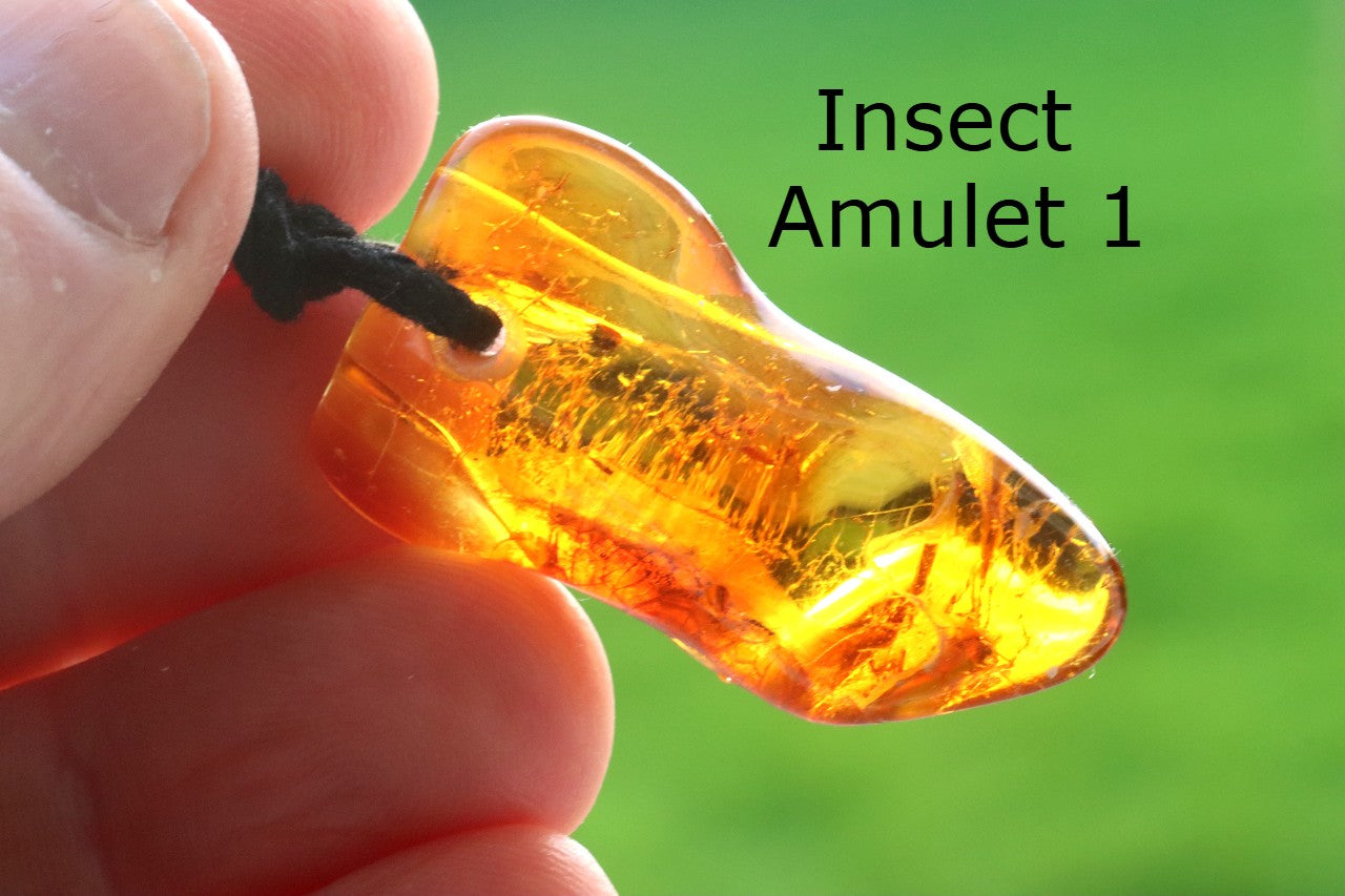 Special Offer – 2 Amber Amulet Pendants with Insect Inclusions