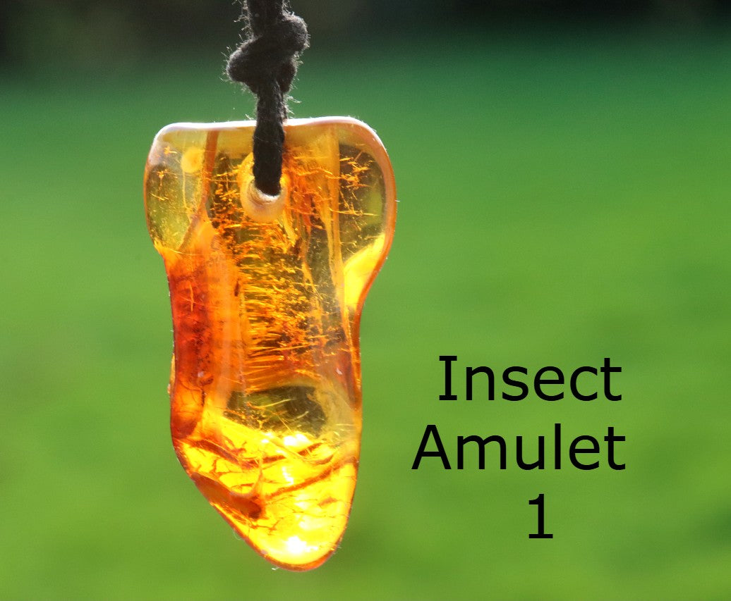 Special Offer – 2 Amber Amulet Pendants with Insect Inclusions
