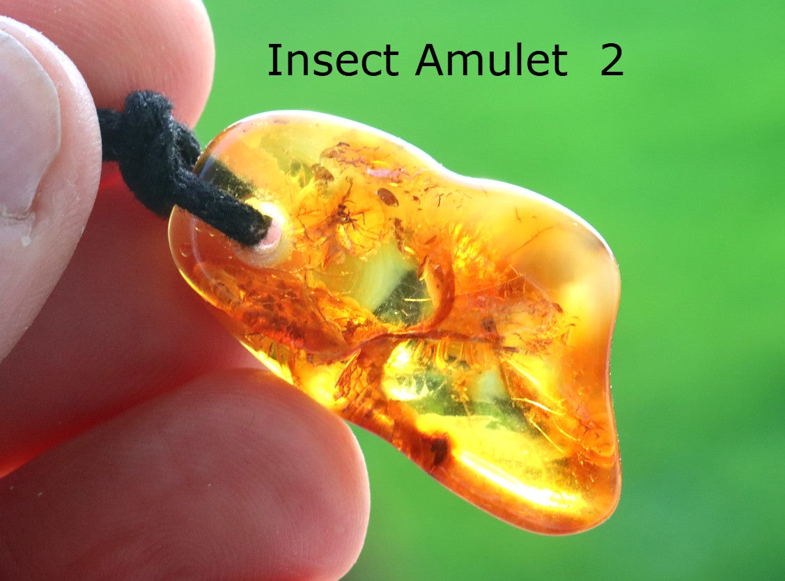 Special Offer – 2 Amber Amulet Pendants with Insect Inclusions