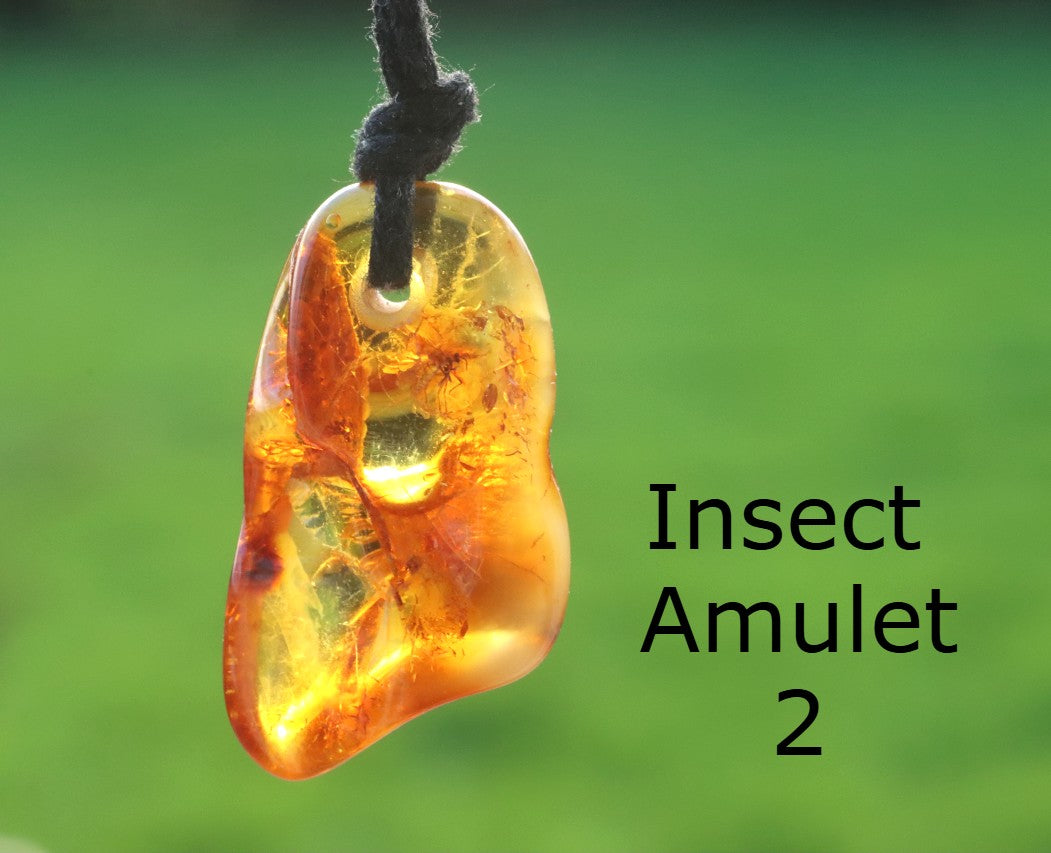 Special Offer – 2 Amber Amulet Pendants with Insect Inclusions