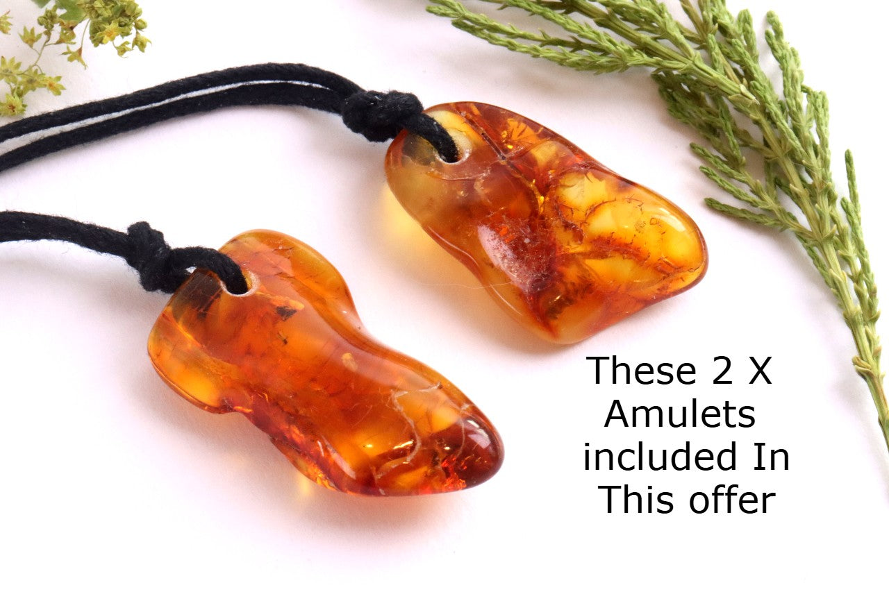 Special Offer – 2 Amber Amulet Pendants with Insect Inclusions