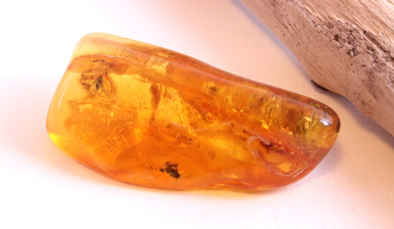 Baltic Amber with Fly Inclusion Genuine Baltic Amber