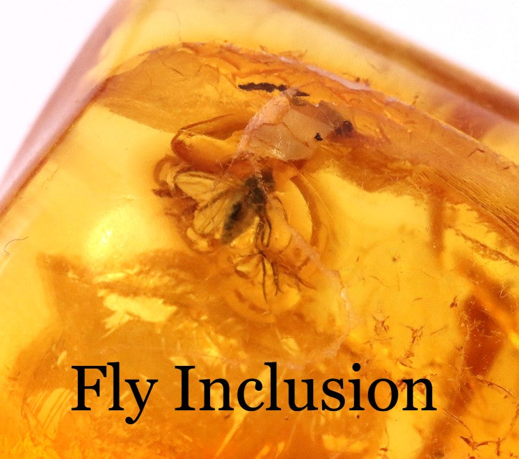 Baltic Amber with Fly Inclusion Genuine Baltic Amber