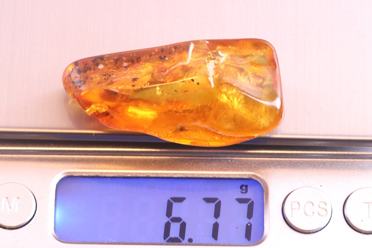 Baltic Amber with Fly Inclusion Genuine Baltic Amber