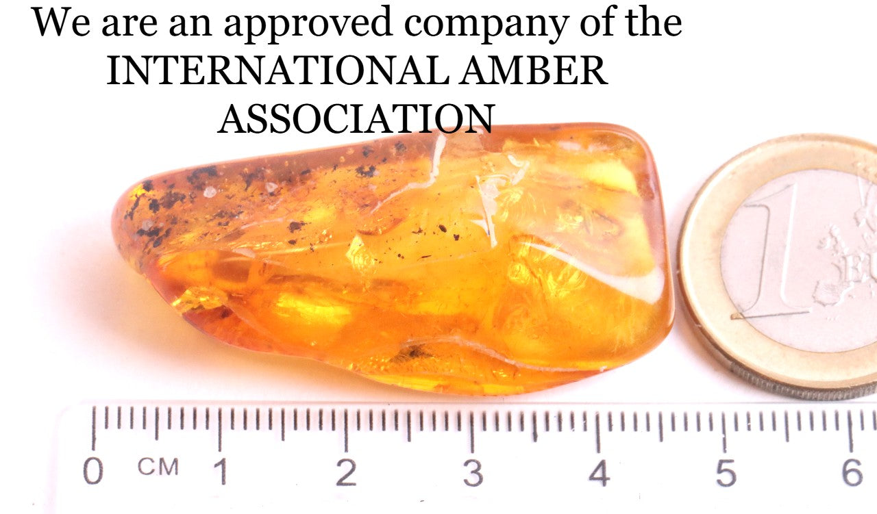 Baltic Amber with Fly Inclusion Genuine Baltic Amber