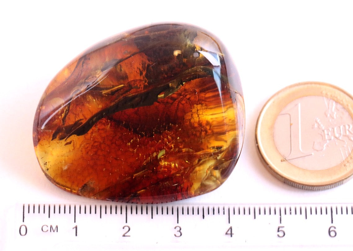 Healing Energy Natural Baltic Amber Gemstone